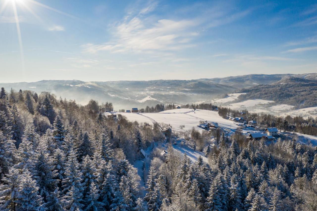 Chata Jarzebata Wisła Buitenkant foto